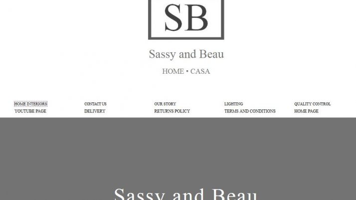 Sassy and Beau Feedback